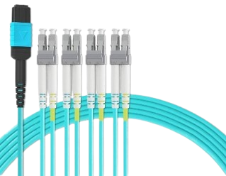 Picture5-removebg-preview